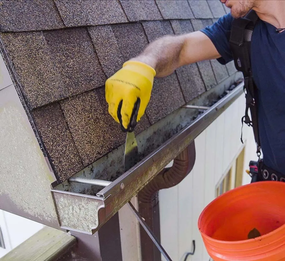 Gutter Cleaning Services
