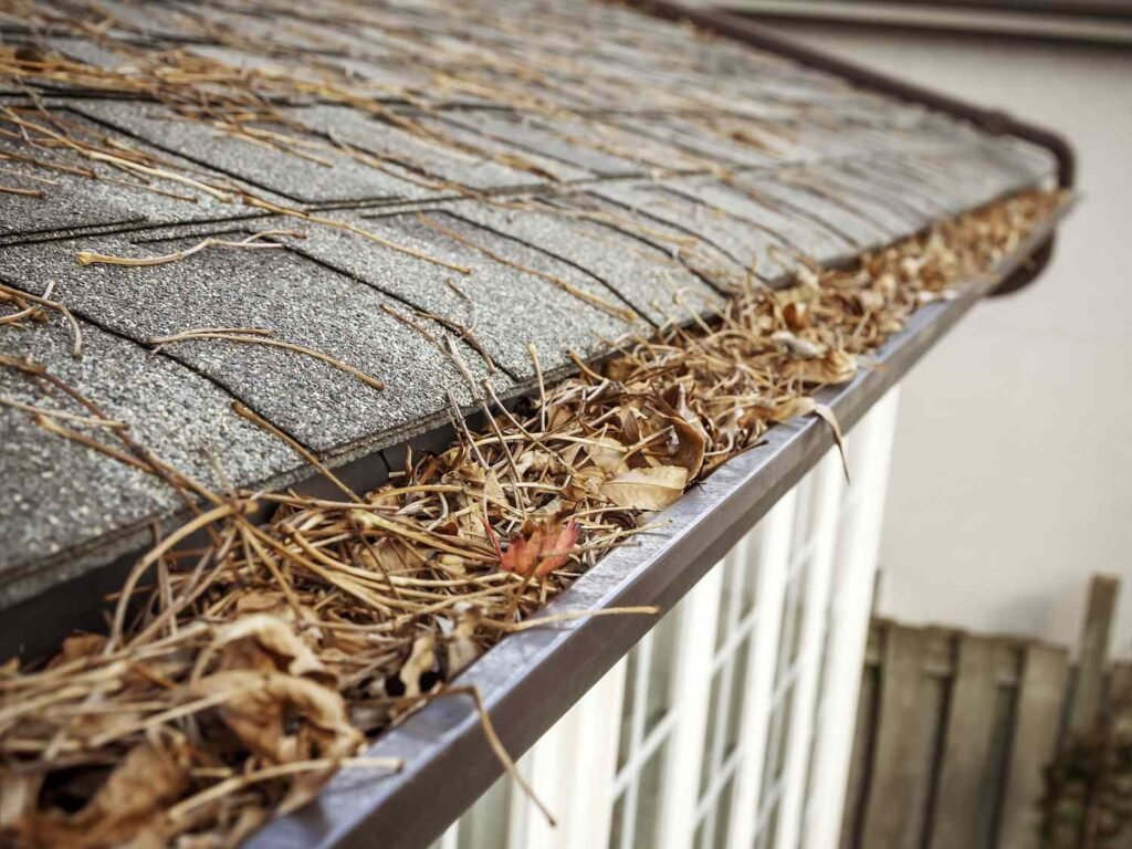 How Often Should You Clean Your Gutters?